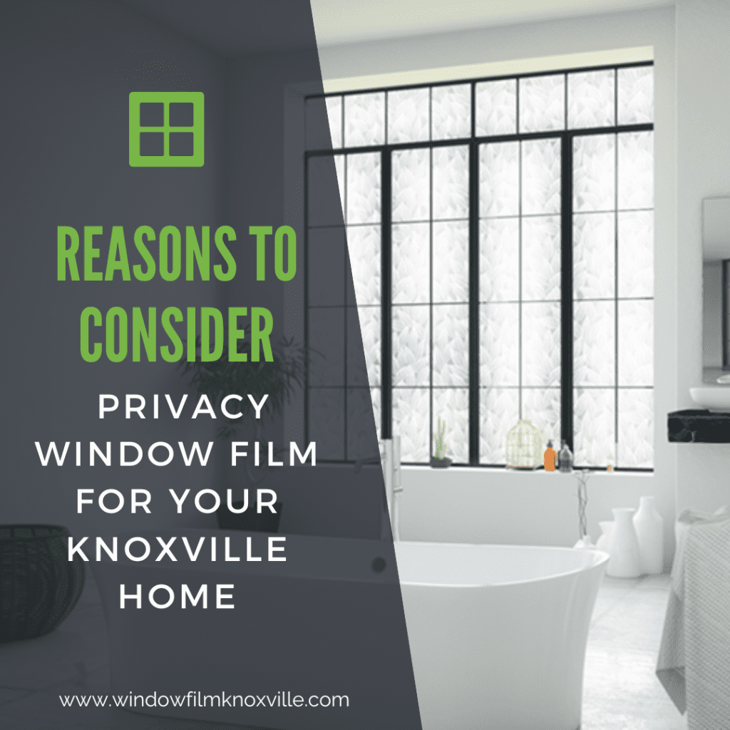 privacy window film knoxville