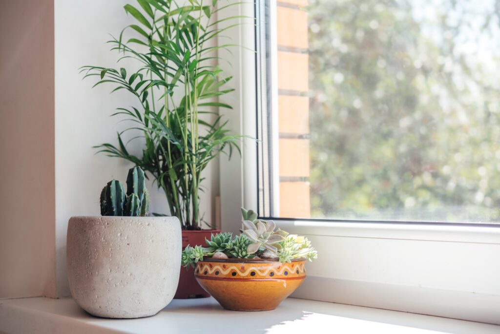 heat blocking window film Knoxville